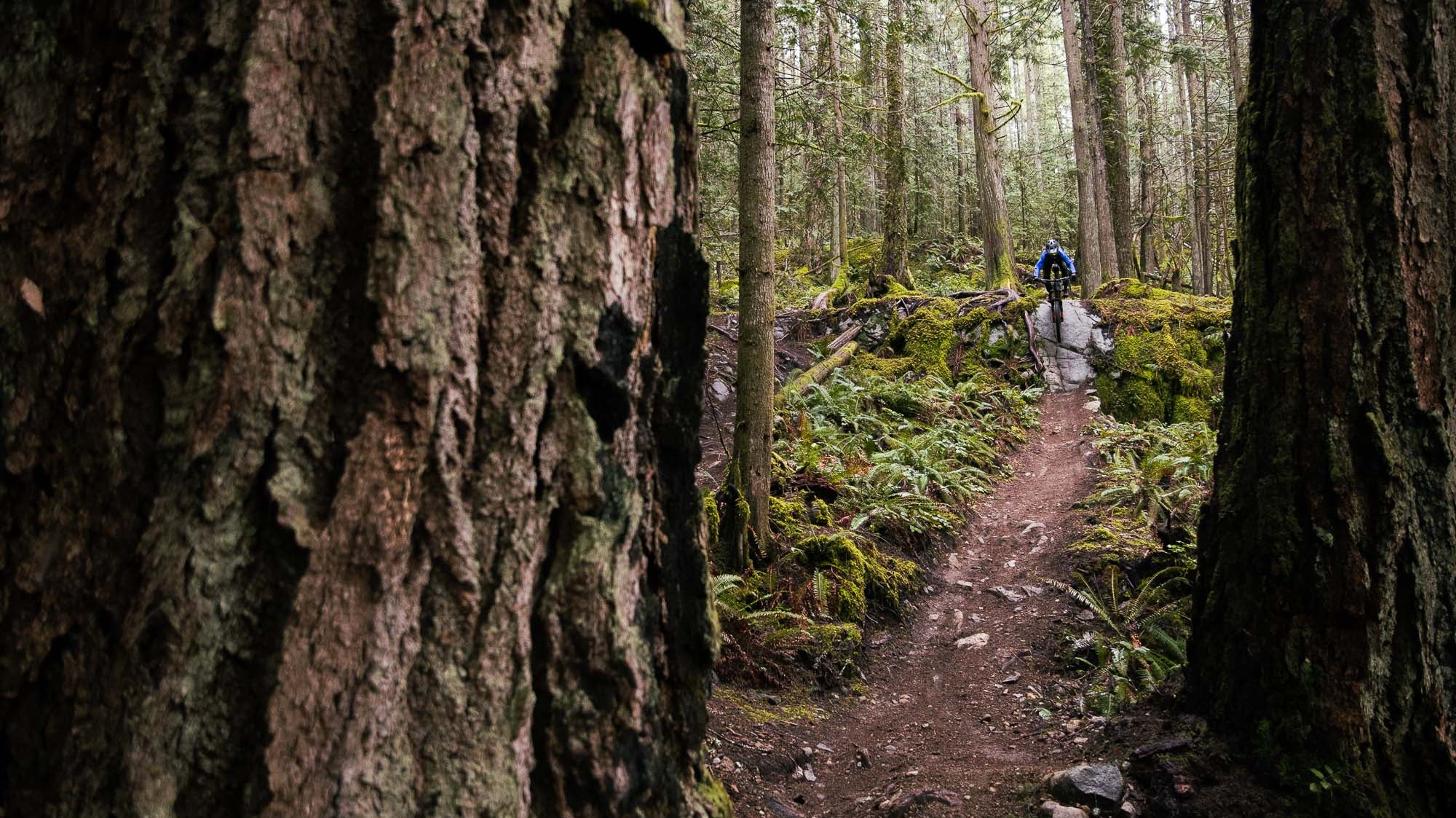 Sophia Ervington - Powell River