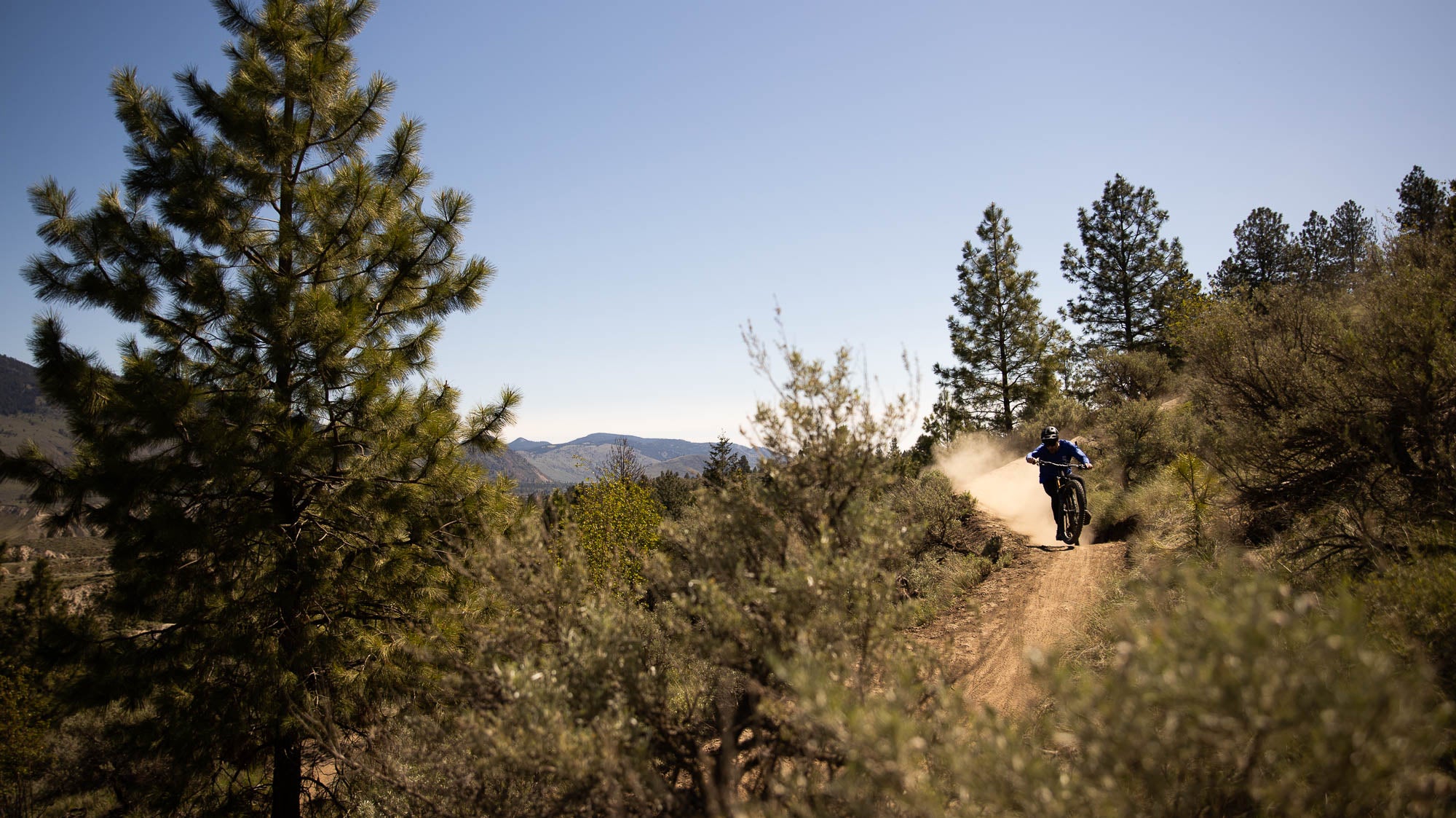 Podcast: Dynamic Life Cycles with Co-Founder Travis Bilton