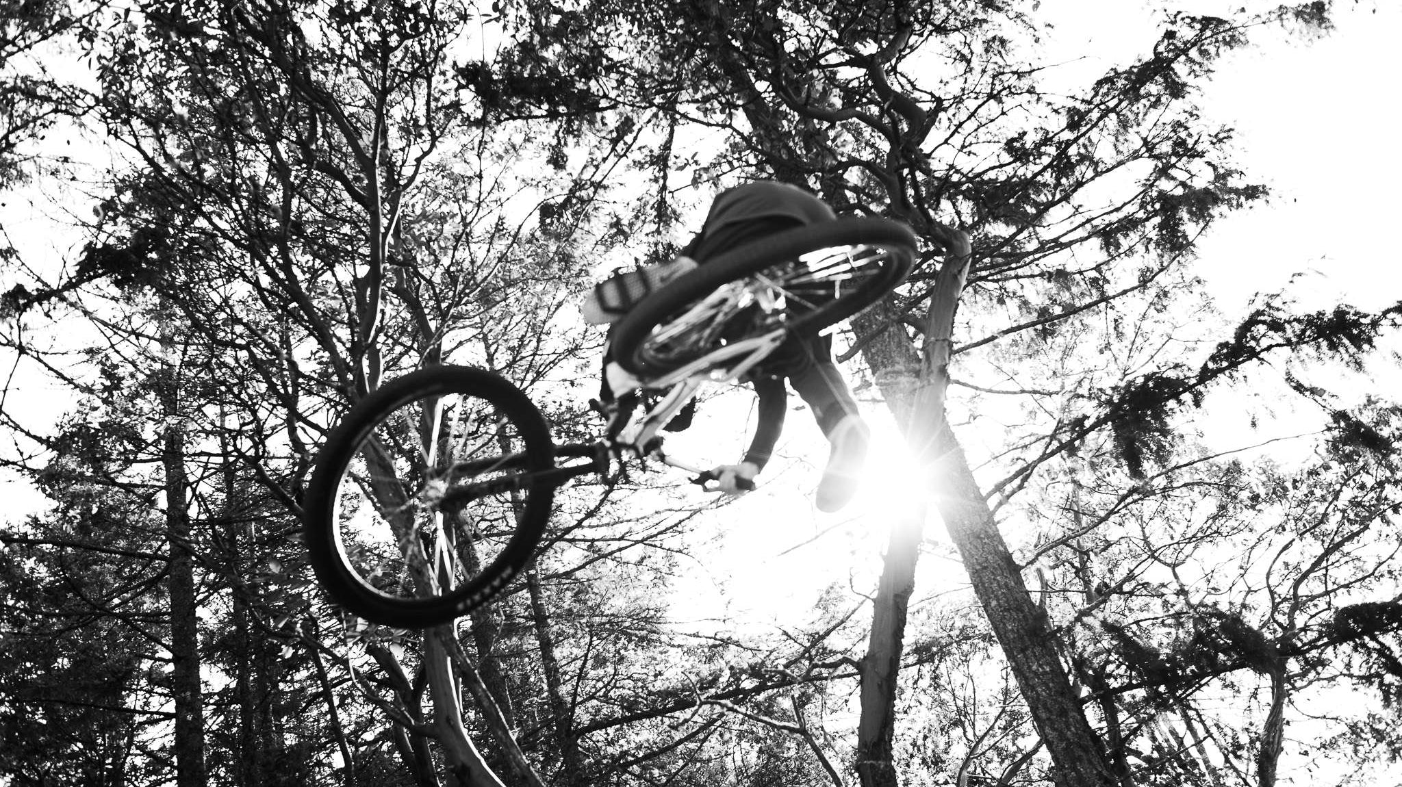 Hazy - Summer memories