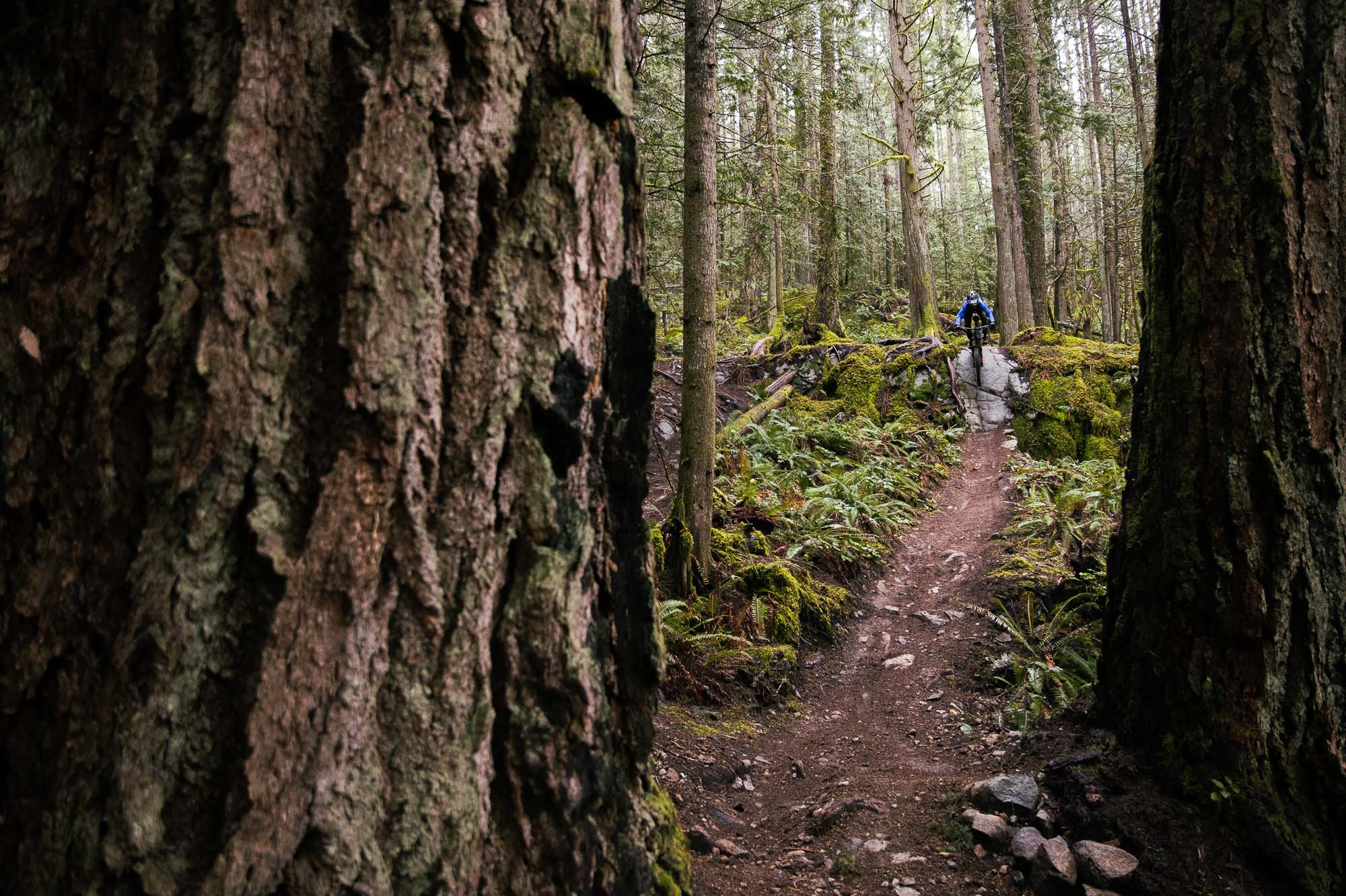 Sophia Ervington - Powell River