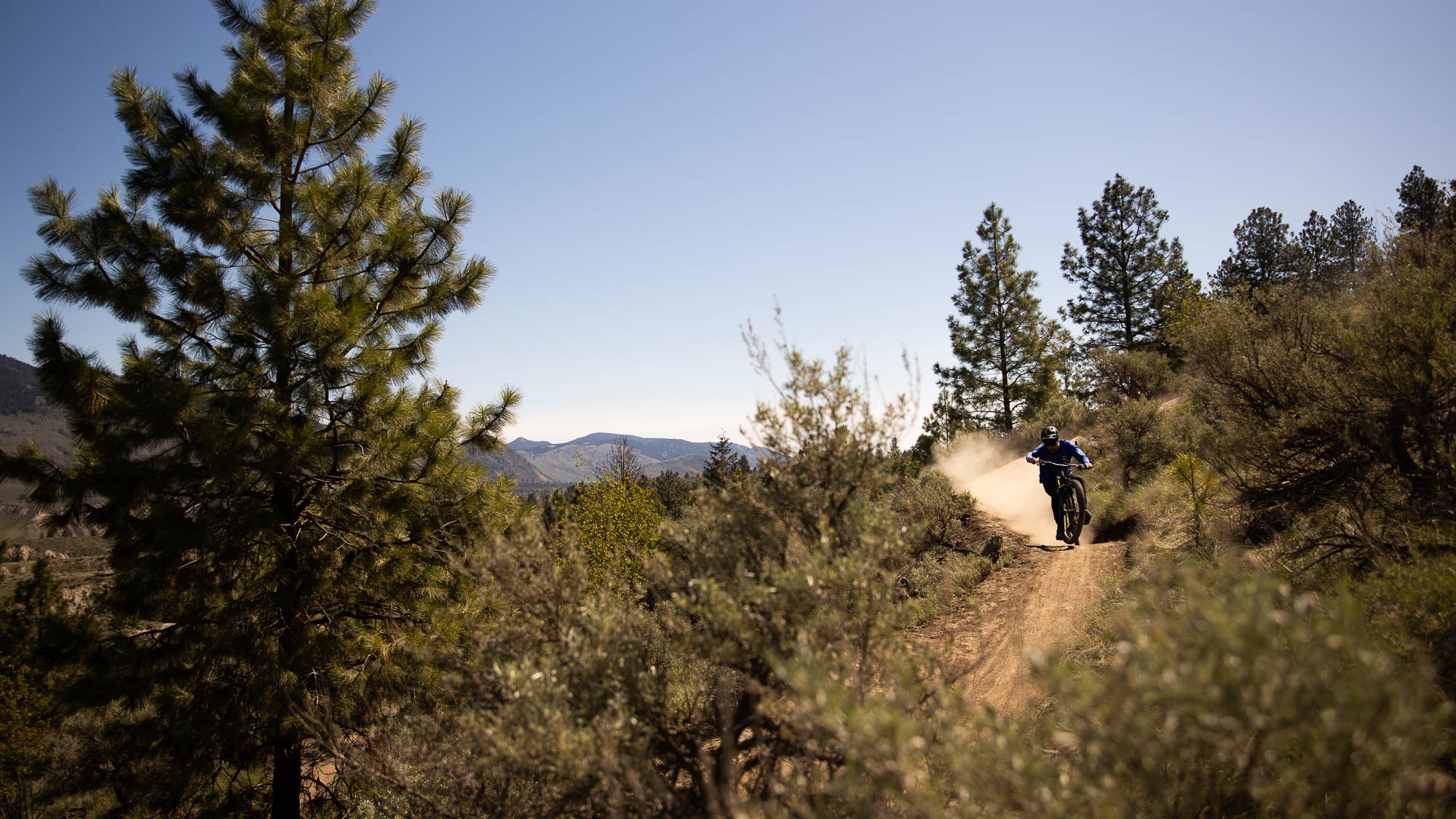 Podcast: Dynamic Life Cycles with Co-Founder Travis Bilton