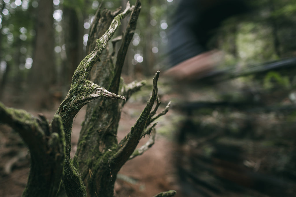 MTB environmentally friendly sustainability